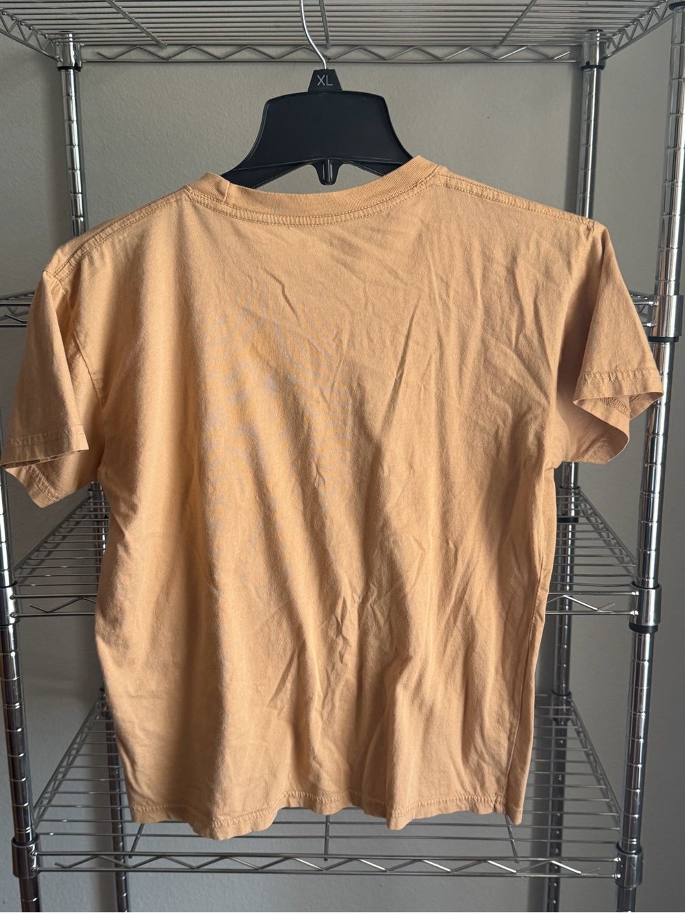 Obey Tan Short-Sleeve Tee with Blue & Pink Portrait and Black/Red Bar - Picture 4 of 4